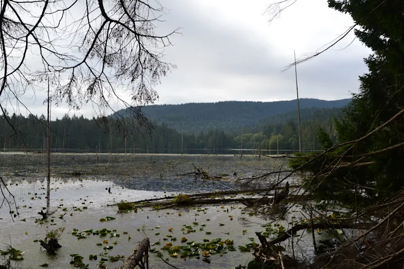 Photo from Bowen Island, Canada