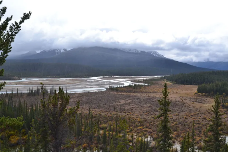 Photo from Icefields Parkway, Canada