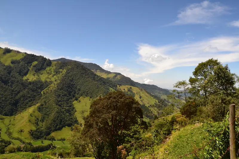 Photo from Quindio, Colombia