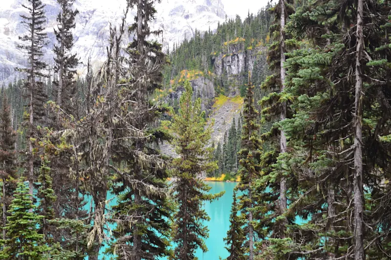 Photo from Joffre Lakes, Canada