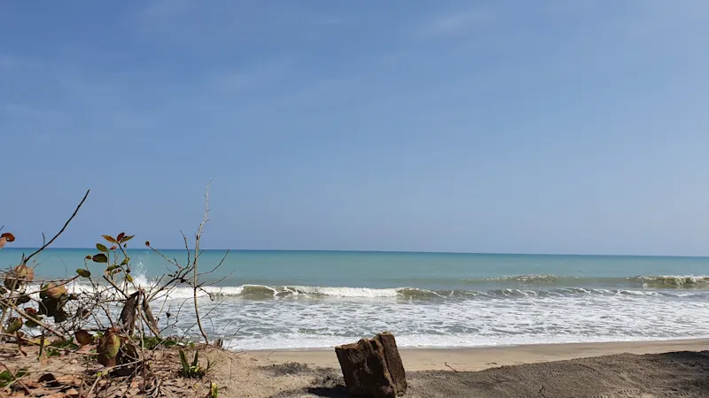 Photo from Palomino, Colombia