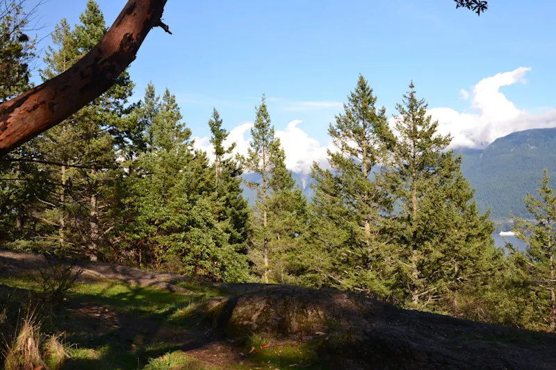 Photo from Bowen Island, Canada