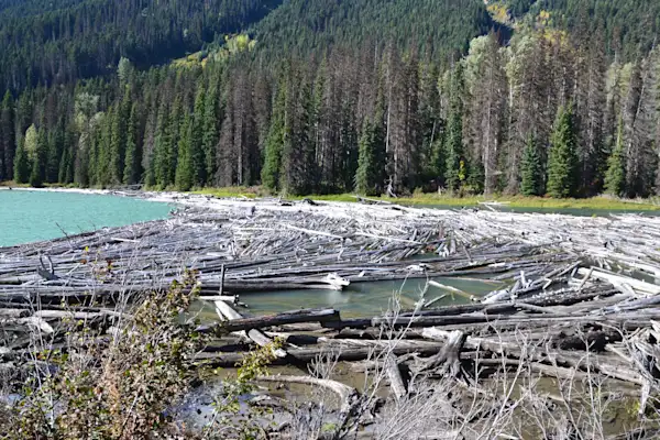 Preview of Duffey Lake