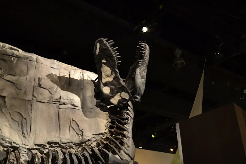 Photo from Drumheller, Canada