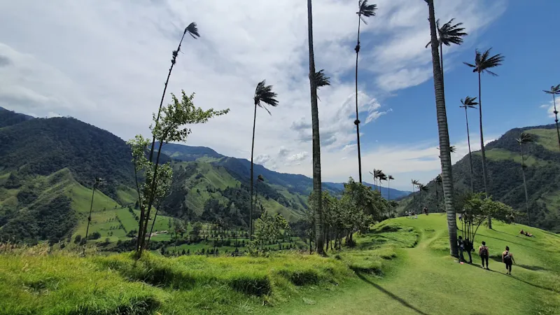 Photo from Quindio, Colombia