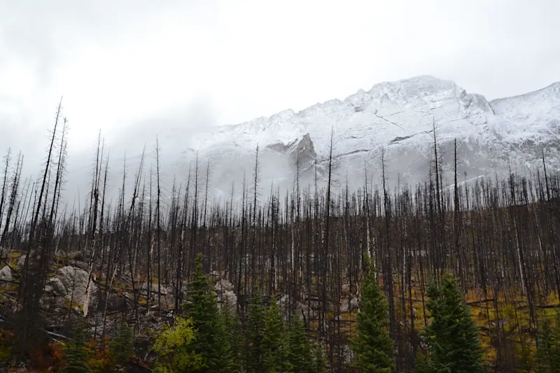 Photo from Jasper, Canada