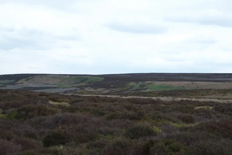 Photo from Ilkley, England