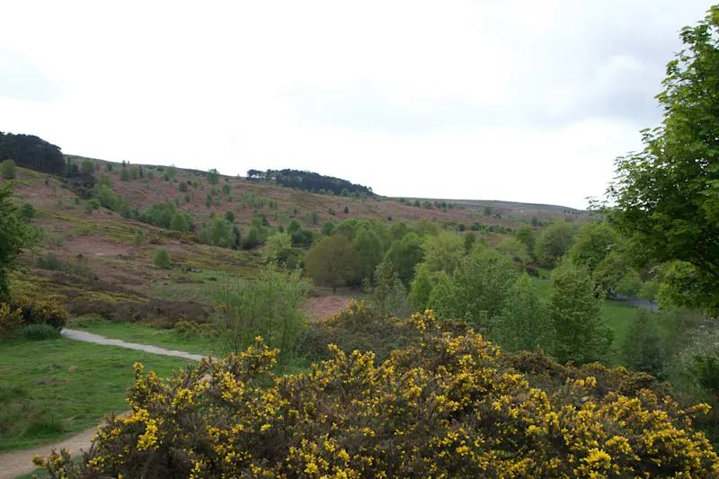 Photo from Ilkley, England