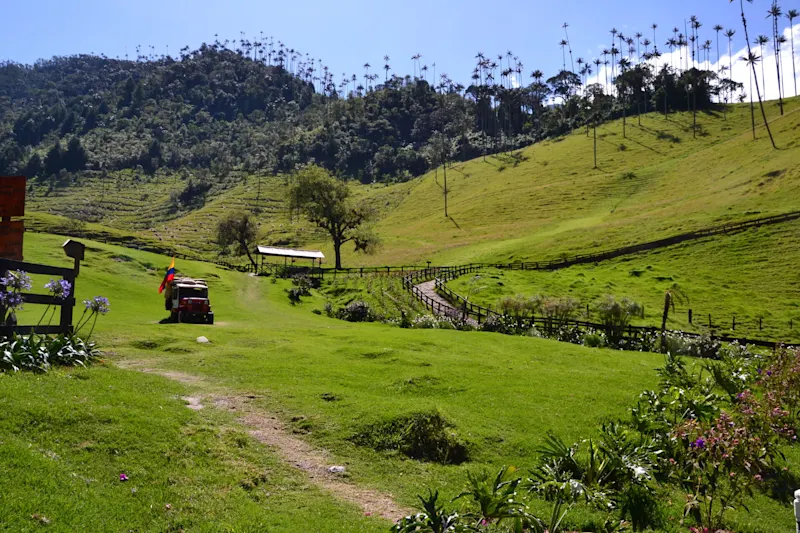 Photo from Quindio, Colombia