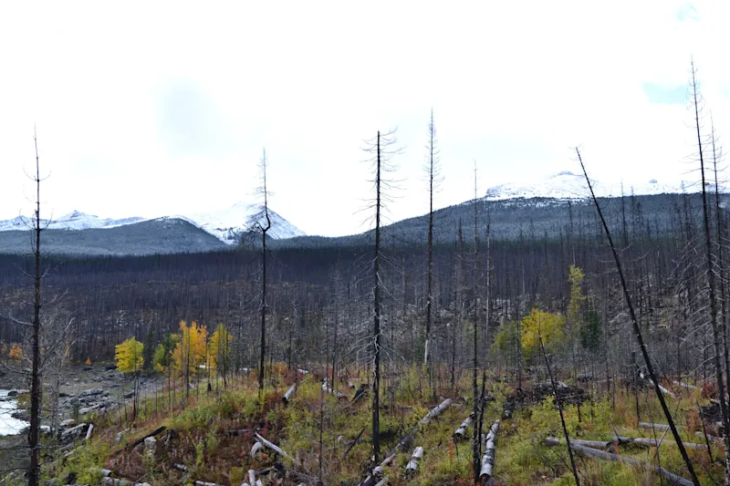 Photo from Jasper, Canada