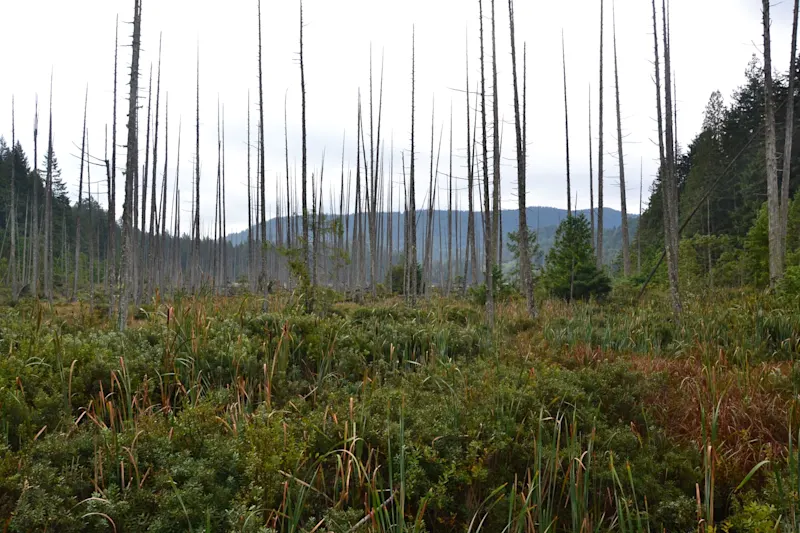 Photo from Bowen Island, Canada
