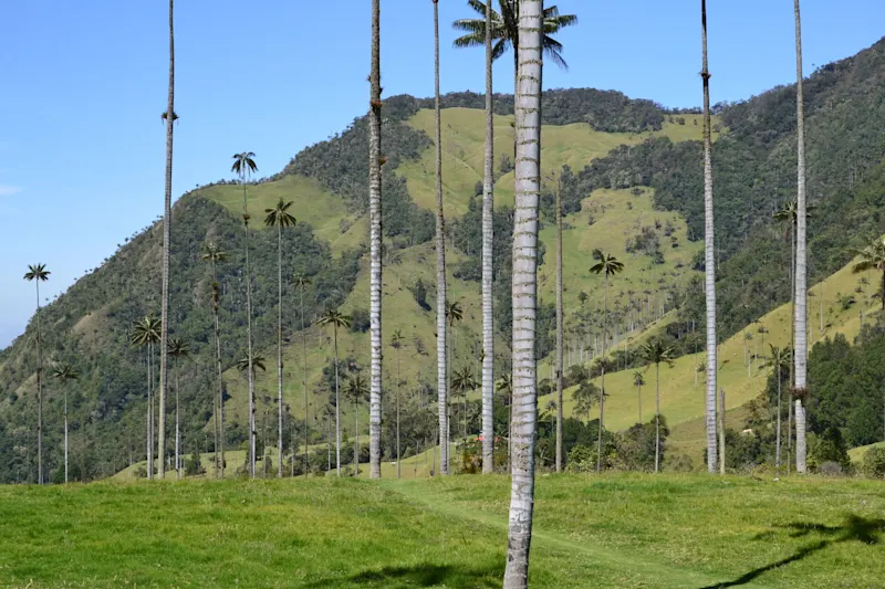 Photo from Quindio, Colombia
