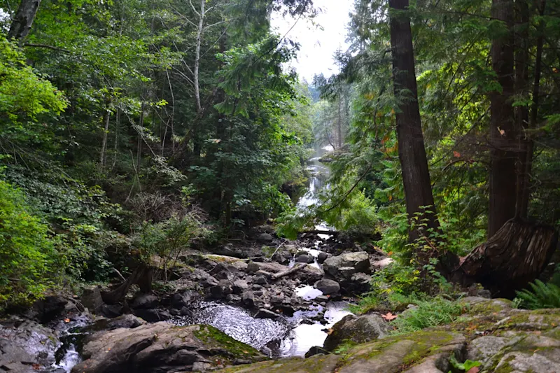 Photo from Bowen Island, Canada