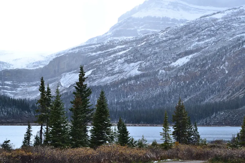 Photo from Icefields Parkway, Canada