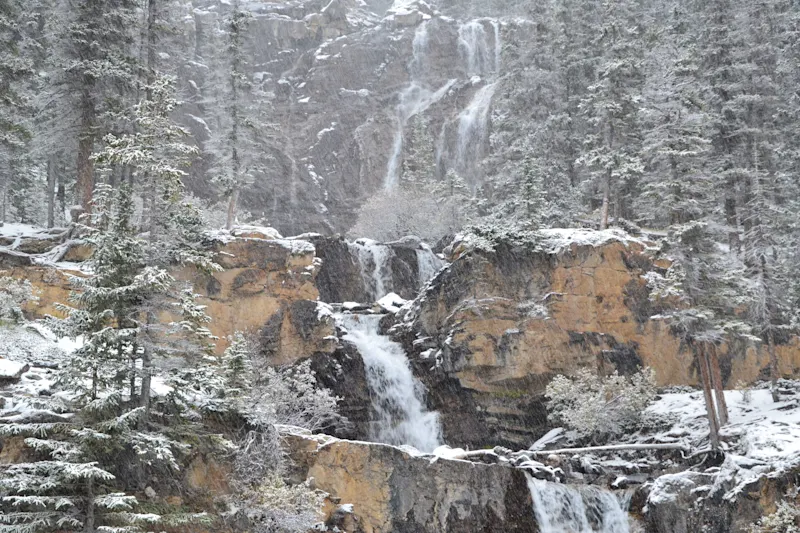 Photo from Icefields Parkway, Canada