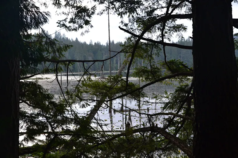 Photo from Bowen Island, Canada
