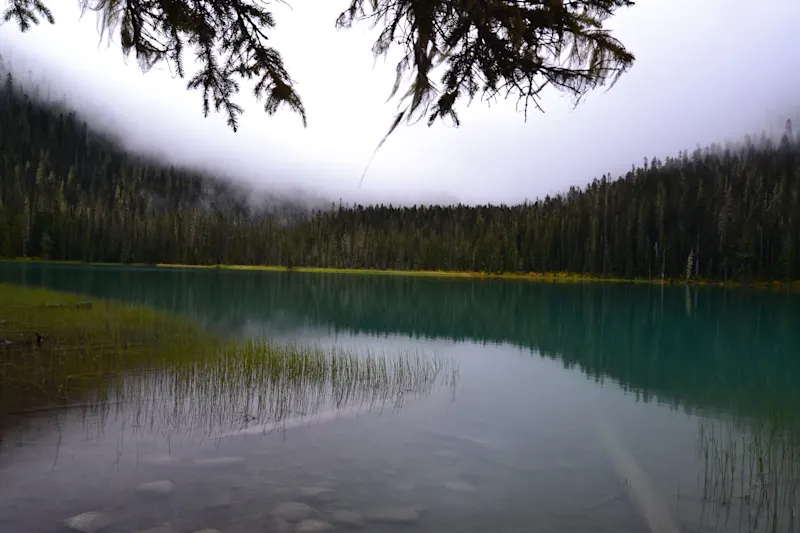 Photo from Joffre Lakes, Canada