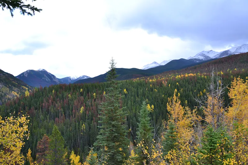 Photo from Jasper, Canada