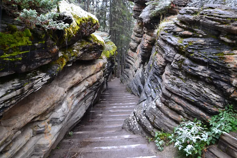 Photo from Jasper, Canada