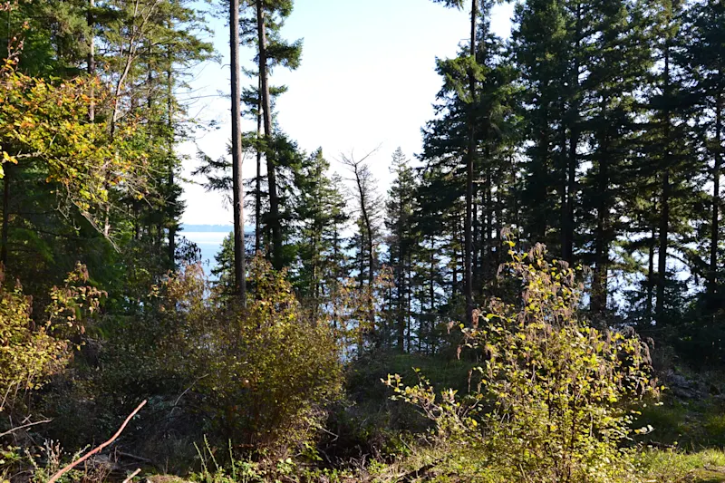 Photo from Bowen Island, Canada