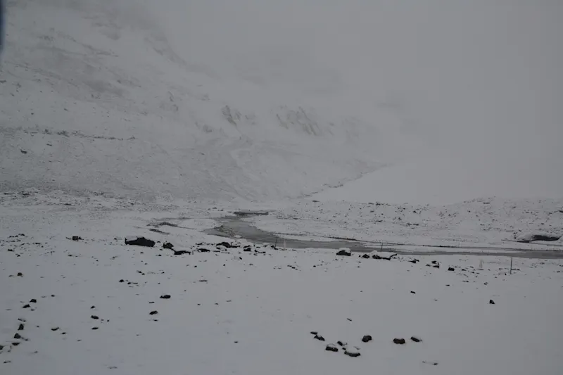 Photo from Icefields Parkway, Canada