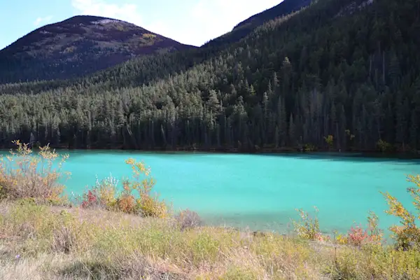 Preview of Jasper