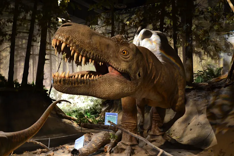 Photo from Drumheller, Canada