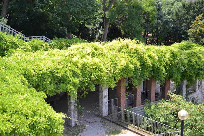 Photo from Trieste, Italy