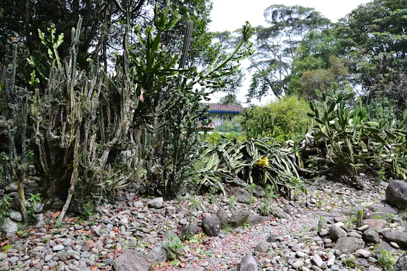 Photo from Quindio, Colombia