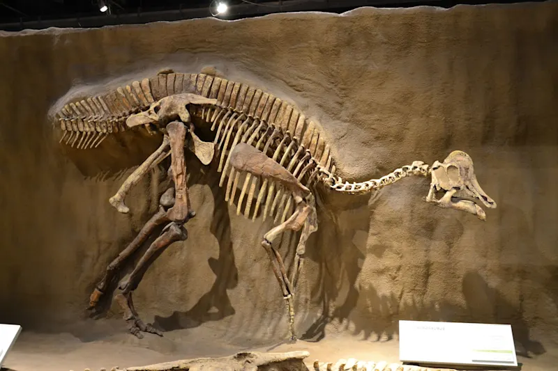 Photo from Drumheller, Canada