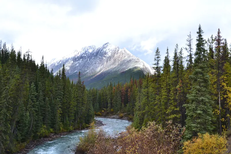 Photo from Jasper, Canada