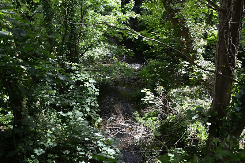 Photo from Galway, Ireland