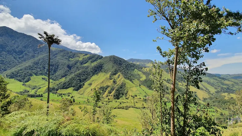 Photo from Quindio, Colombia