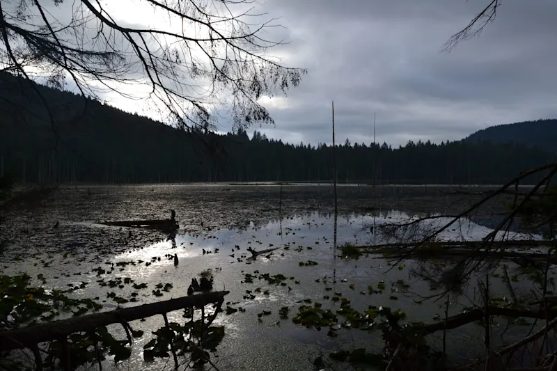 Photo from Bowen Island, Canada