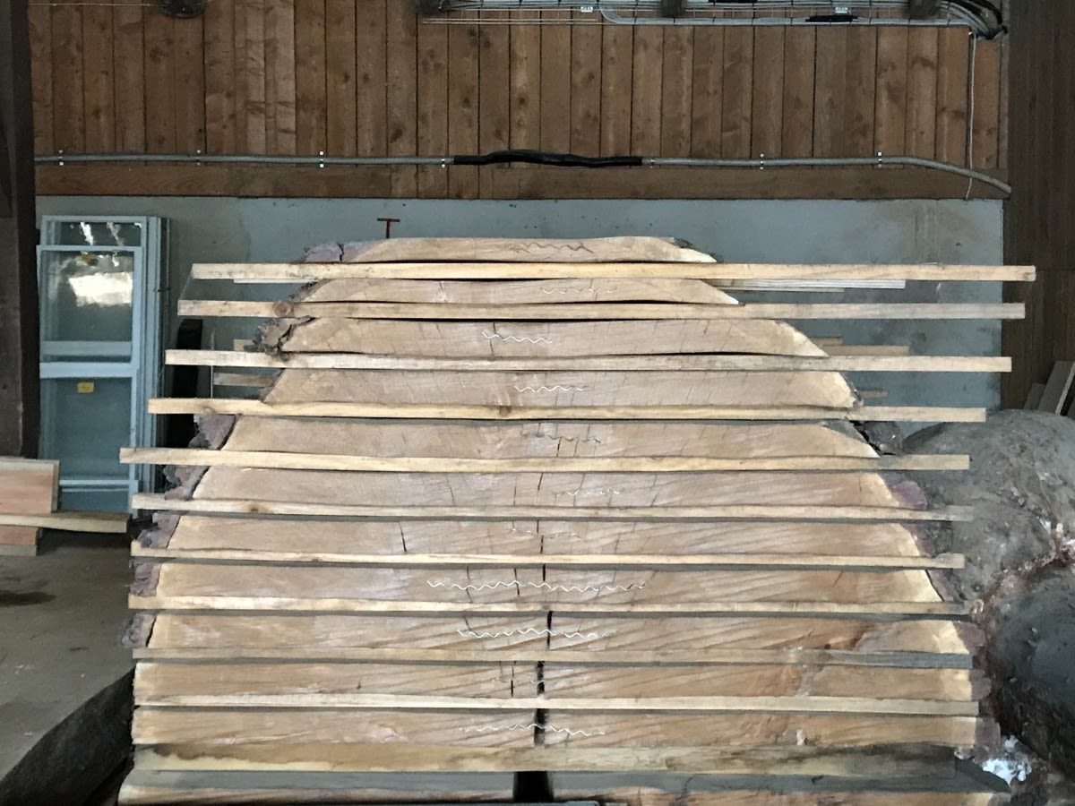 Oak left to air dry in Dinesen's factory