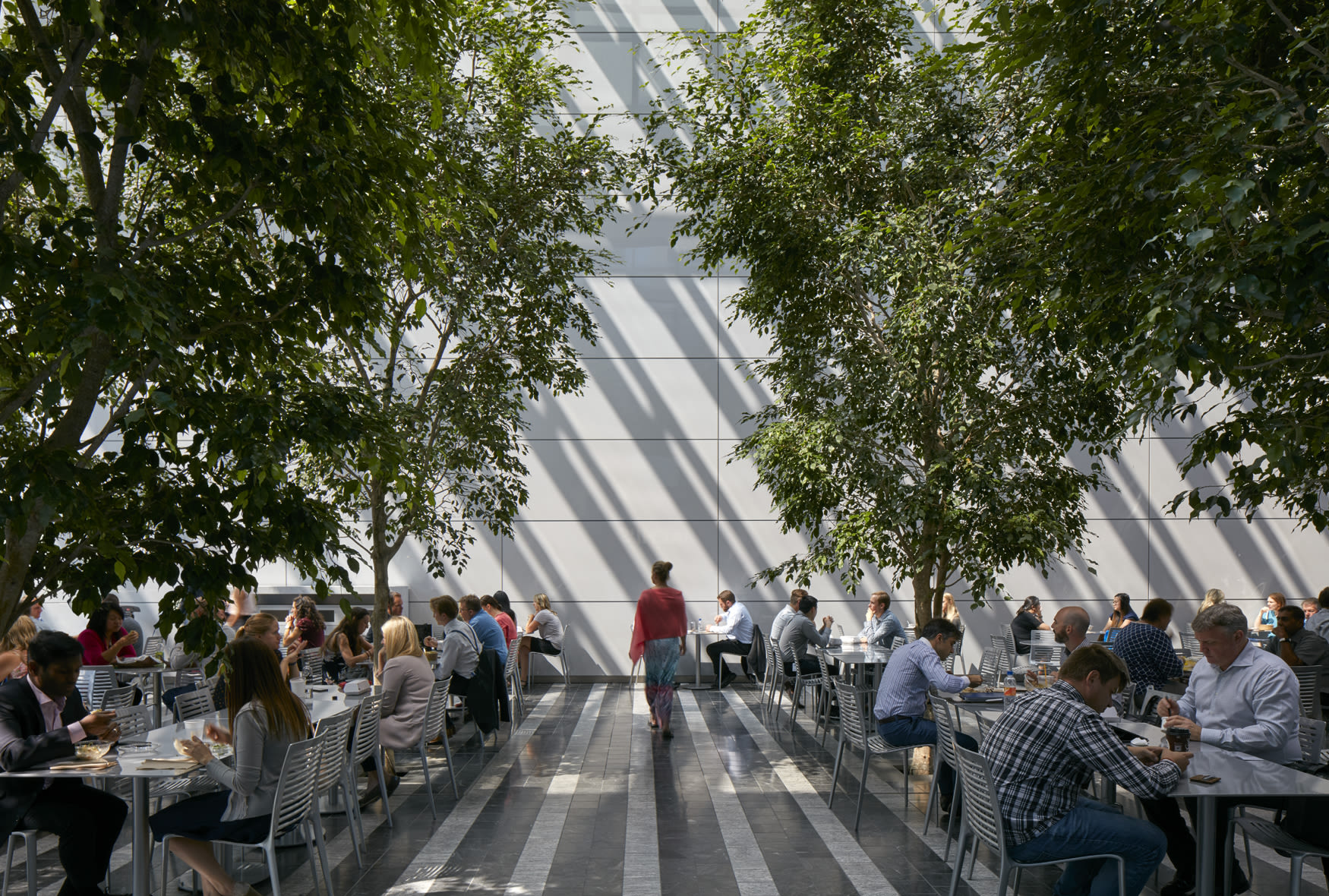 Within the tree lined spaces of the wintergarden pavilion