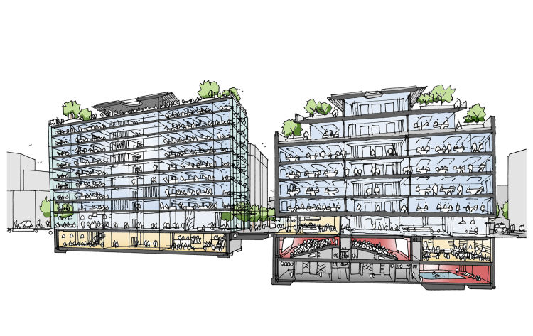 Cross section through the revived Kendals Building (left) and the new interconnected office building (right) both with roof terraces and an active mix of uses