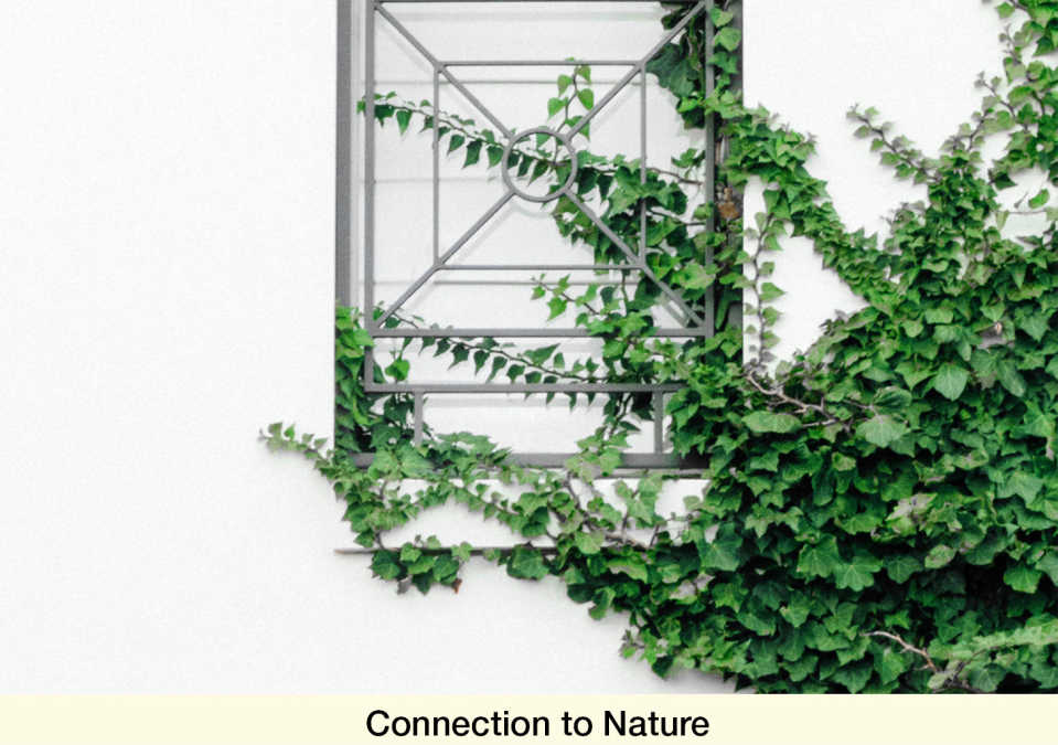 Creating connections to the rich natural landscape and local green spaces