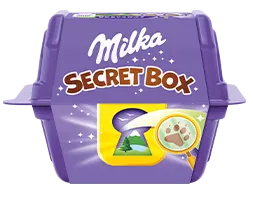 secret box image