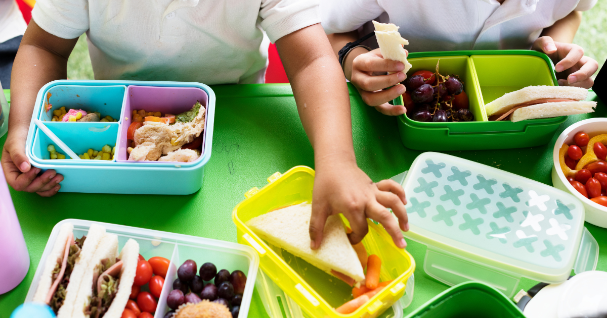 Picky Kids School Lunch Ideas for Picky Eaters: 25+ Easy Ideas