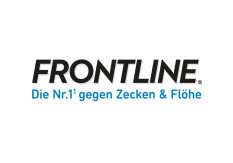 Frontline Katze