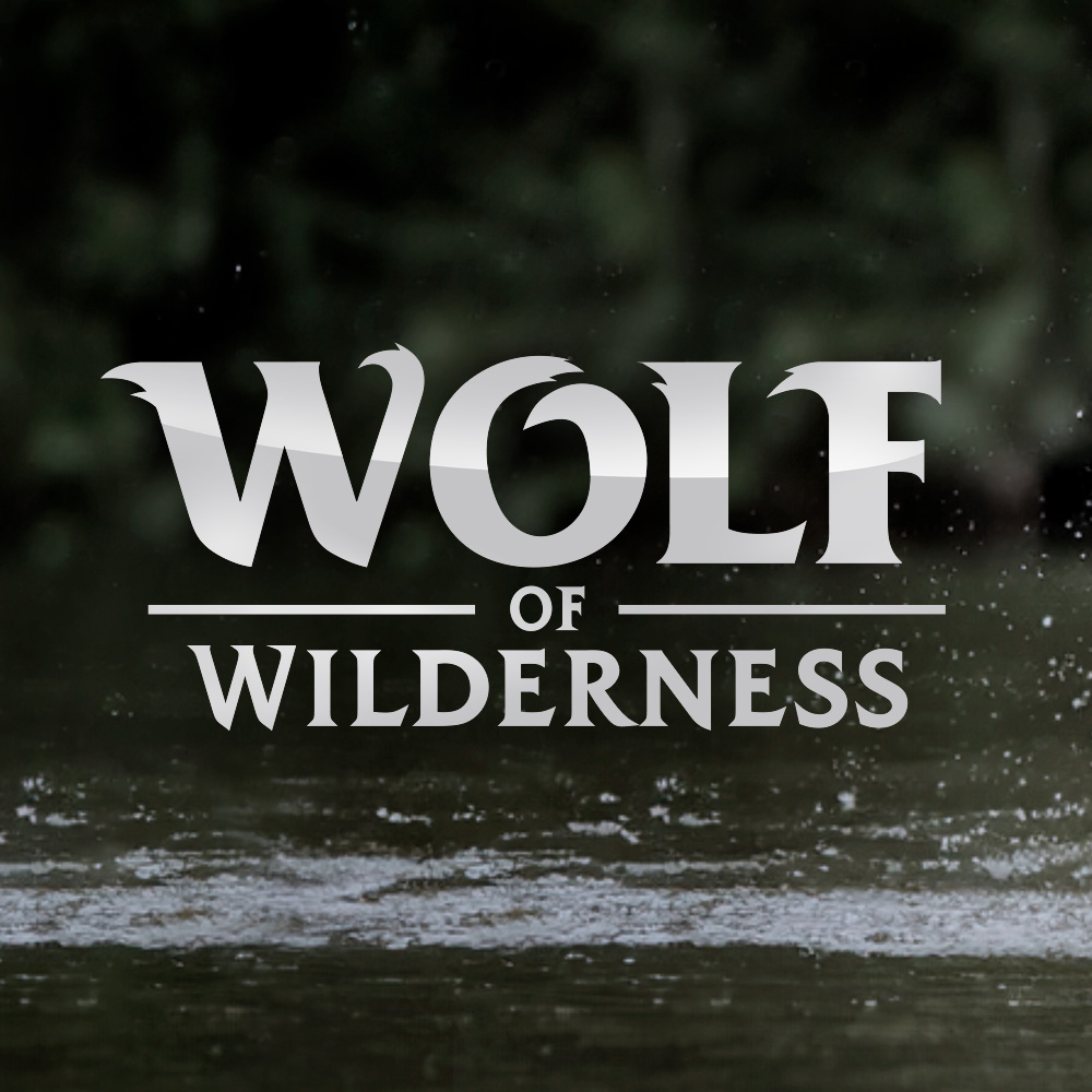 Wolf of the Wilderness - корм, лакомства и аксессуары для собак