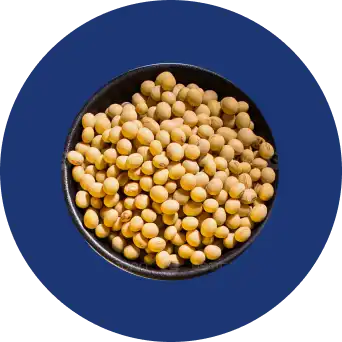 Soy in a blue bowl.