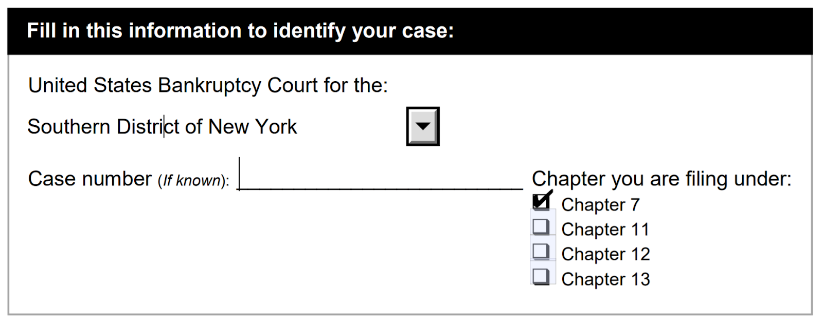 Figure 5. Filing District Information on Voluntary Petition