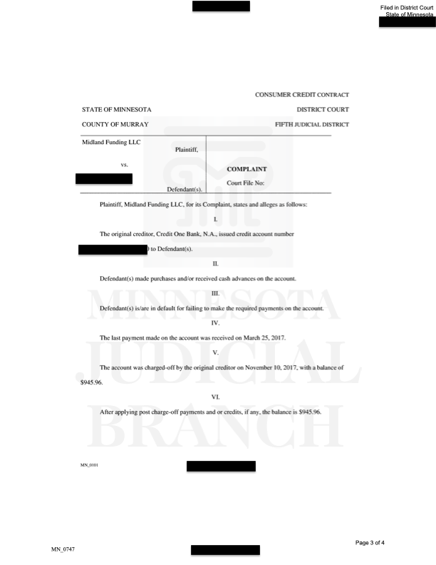 Image of a Redacted Minnesota District Court Complaint