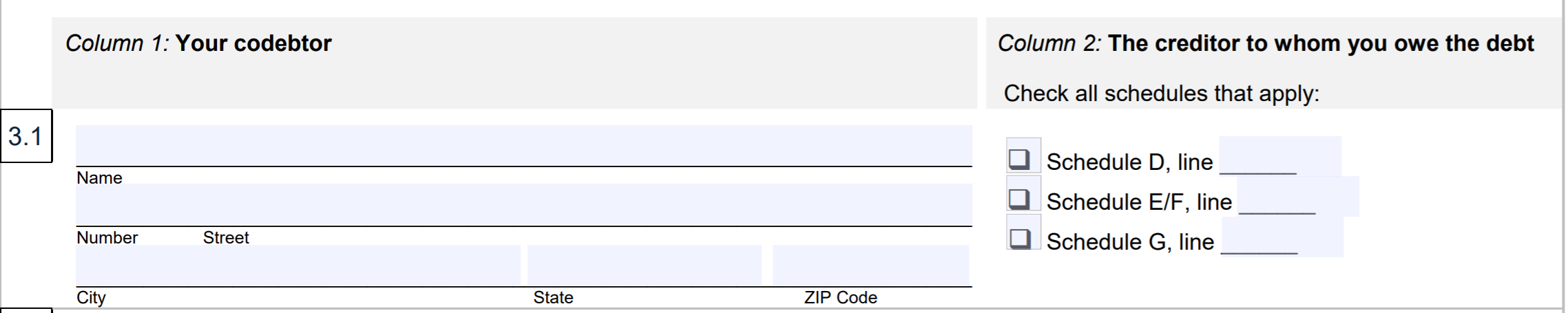 Schedule H - Question 3 (co-debtor)