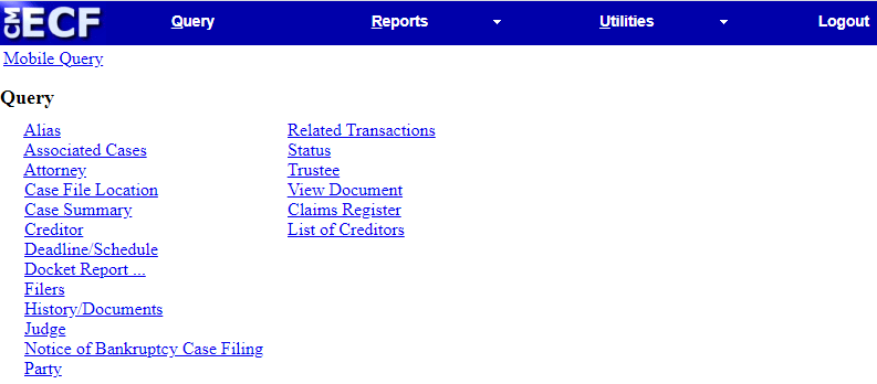 Figure 7. Query Menu