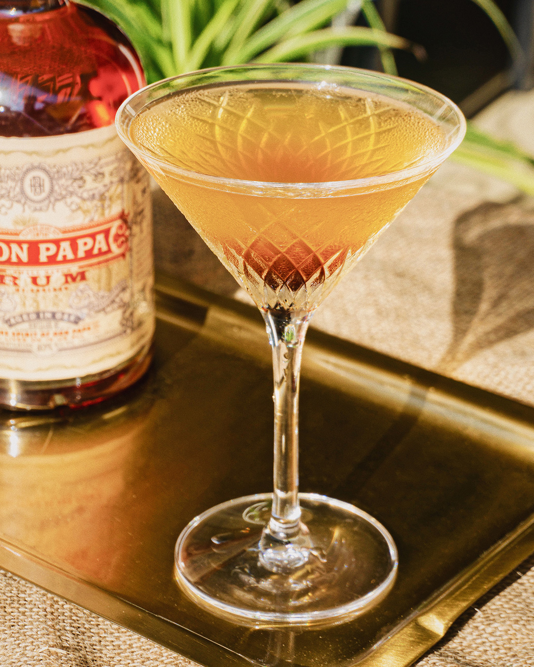 Daiquiri