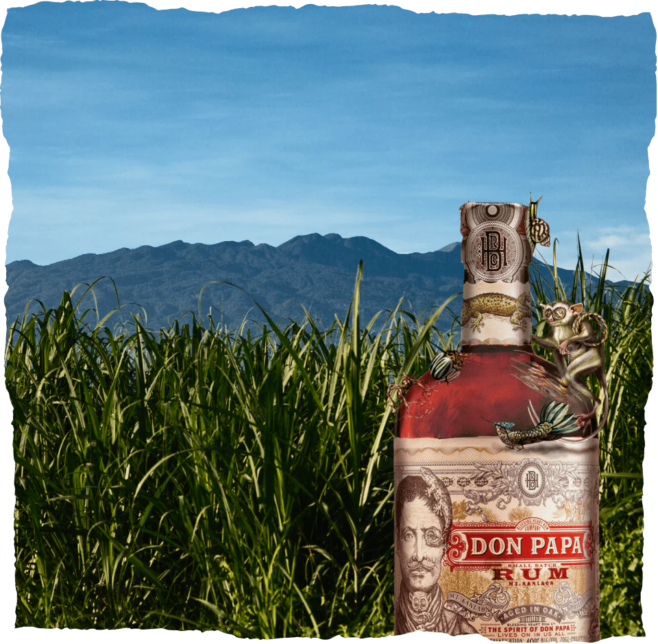 THE DON OF THE PHILIPPINES - Don Papa Rum Bottle illustration