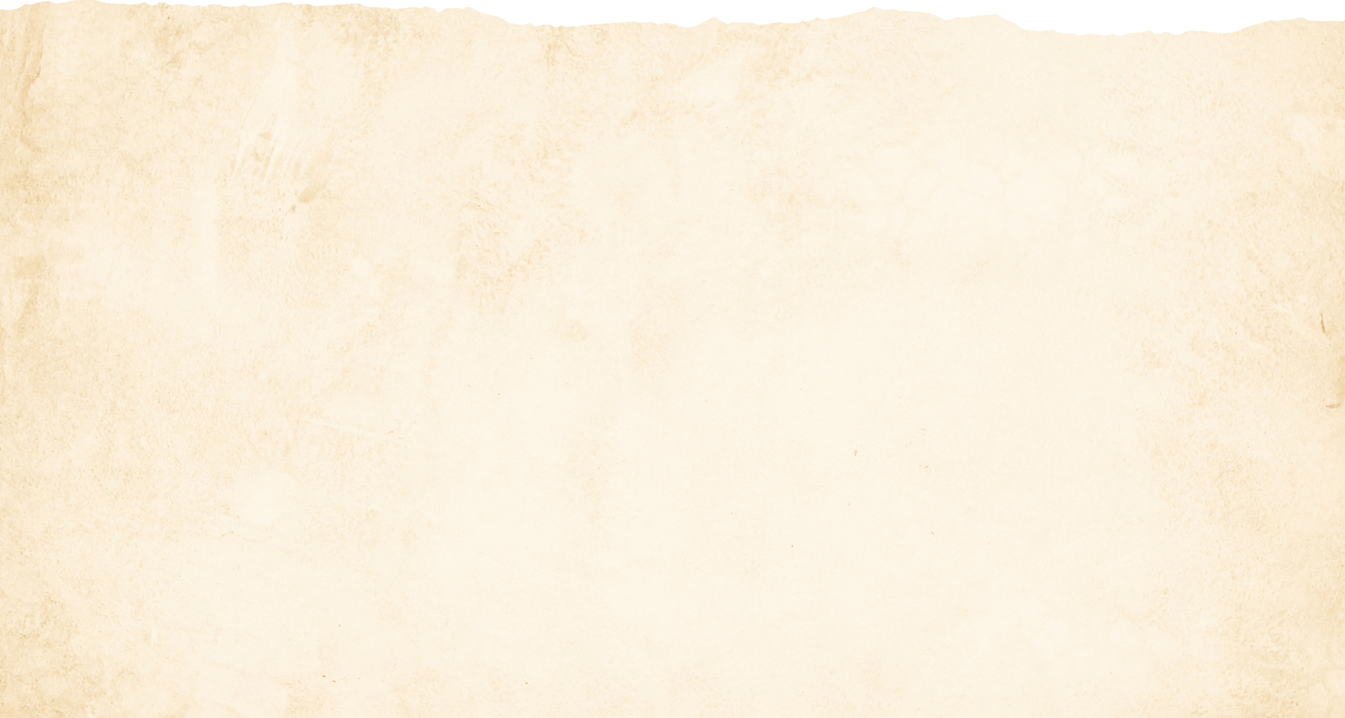 Paper Texture 2X F991Db28 D4B0 433C 8B52 8A0B6491Ab68 - Don Papa Rum
